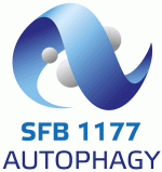 SFB_1177_Logo
